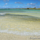 波と一緒に漂うミジュンの大群-クウラビーチ