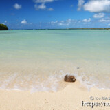 波打ち際のヤシの実-クウラビーチ