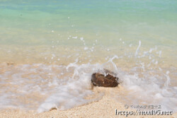 ヤシの実にぶつかる波-クウラビーチ