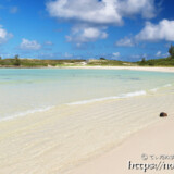 波打ち際のヤシの実-クウラビーチ