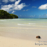 流れ着いたヤシの実-クウラビーチ