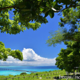 木陰から見る海の風景-牧山展望台広場