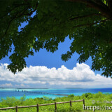 木陰から見る伊良部大橋-牧山展望台広場