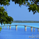 木陰から見る伊良部大橋-牧山展望台広場