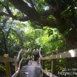 遠見台・トゥンバラへ続く階段-大神島
