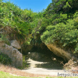 海の神様がやってくる御嶽-大神島