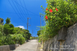 漁港から集落への坂道-大神島