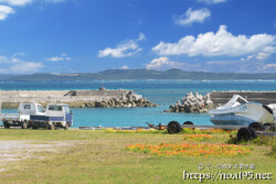 のどかな大神漁港の風景-大神島