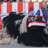 愛嬌のある獅子-久松の獅子舞
