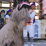 獅子と獅子あやし-久松の獅子舞