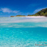 目の前を横切る小魚の群れ-来間島猫の舌ビーチ