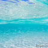 目の前を横切る小魚の群れ-来間島猫の舌ビーチ