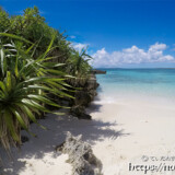 アダンの茂る岩陰-来間島猫の舌ビーチ