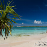 アダンの木と青い海-来間島猫の舌ビーチ