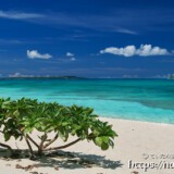 モンパと青い海-来間島猫の舌ビーチ