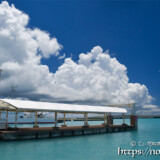 真夏の力強い入道雲