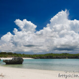 ビーチと真夏の入道雲