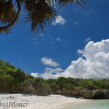 ビーチと真夏の入道雲