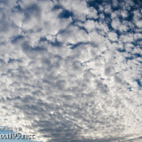 青空に広がるひつじ雲