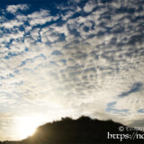 夕暮れの空に広がるひつじ雲