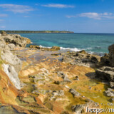 海辺に広がる石灰華段丘
