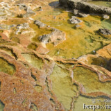 海辺に広がる石灰華段丘