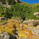 岩肌を覆う黄金色の絨毯-保良石灰華段丘