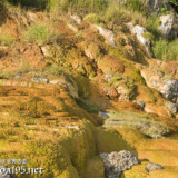 岩場を覆う黄金色の石灰華-保良石灰華段丘