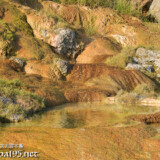 岩肌を覆う石灰華とプール-保良石灰華段丘