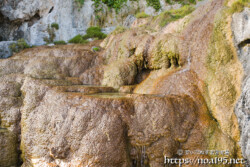 岩肌を覆う石灰華-保良石灰華段丘
