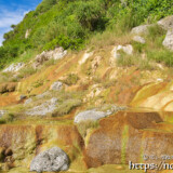黄金色の絨毯-保良石灰華段丘
