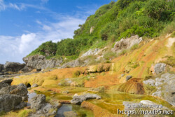 岩場に広がる黄金色の庭園-保良石灰華段丘
