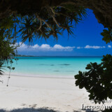 洞窟を覆う植物とビーチ-曲元の浜