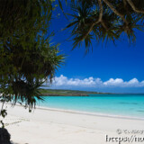 洞窟を覆う植物とビーチ-曲元の浜