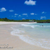 打ち寄せる青い波-曲元の浜