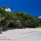 洞窟を覆う緑の絨毯-曲元の浜