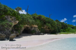 洞窟を覆う緑の絨毯-曲元の浜