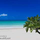 モンパと青い海-曲元の浜