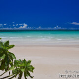 モンパと青い海-曲元の浜