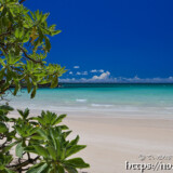 モンパと青い海-曲元の浜