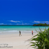 青い海とアダンの葉-曲元の浜