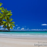 モンパと青い海-曲元の浜