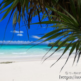 アダンの葉と青い海-曲元の浜