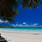 洞窟を覆う植物とビーチ-曲元の浜