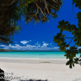 洞窟を覆う植物とビーチ-曲元の浜