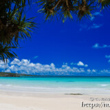 アダンと青い海-曲元の浜