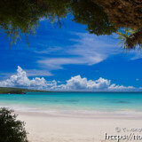 洞窟の植物と海と入道雲-曲元の浜
