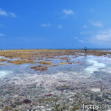 大潮のサンゴ礁と貝を拾う島人たち