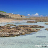 海上のサンゴ礁とタイドプール-大潮のサンゴ礁