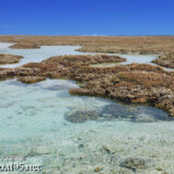 海上のサンゴ礁とタイドプール-大潮のサンゴ礁